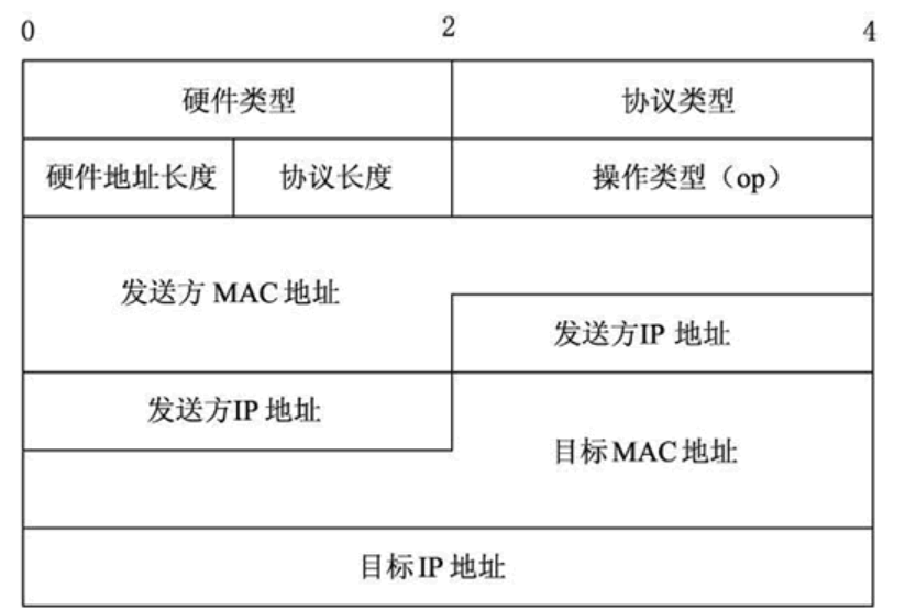 ARP帧格式