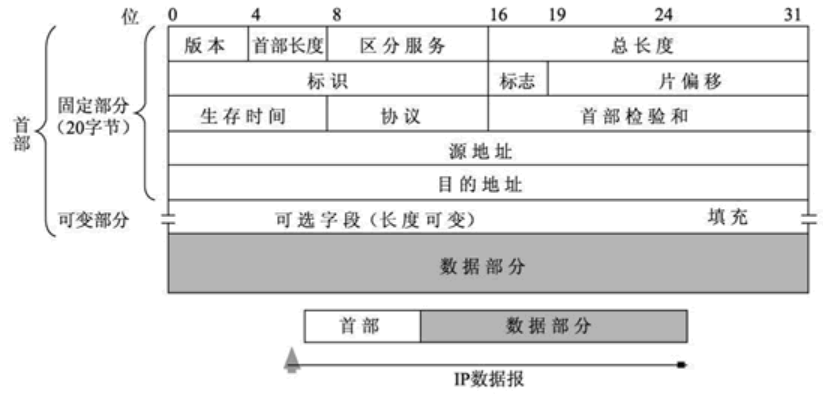 IP帧格式